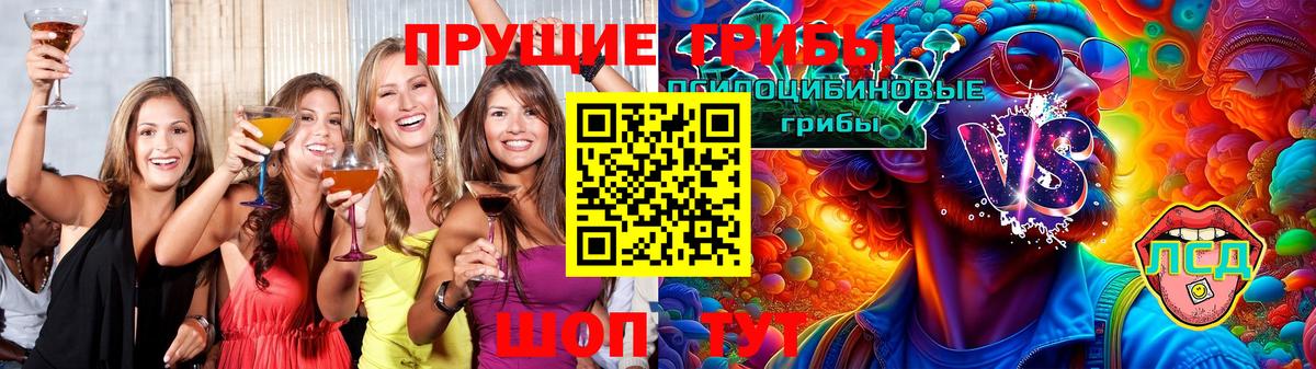 Гусь-Хрустальный  Галлюциногенные грибы мицелий  Вход с VPN 